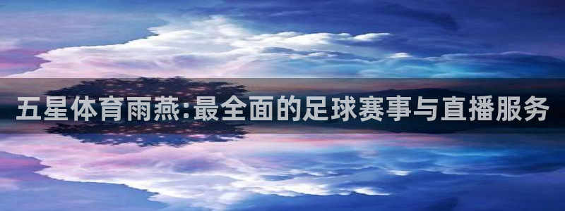 说球帝在线直播：五星体育雨燕:最全面的足球赛事与直播服务