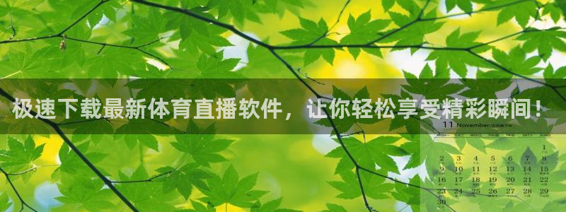 说球帝快直播：极速下载最新体育直播软件，让你轻松享受精彩瞬间！