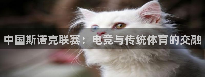 说球帝在线观看：中国斯诺克联赛：电竞与传统体育的交融