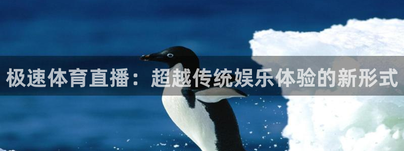 说球帝体育足球篮球五大联赛24小时实时直播：极速体育直播：超越传统娱乐体验的新形式