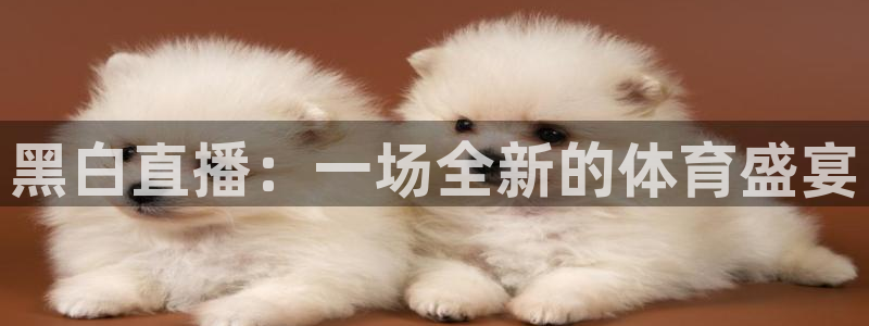 说球帝在线观看nba免费直播：黑白直播：一场全新的体育盛宴