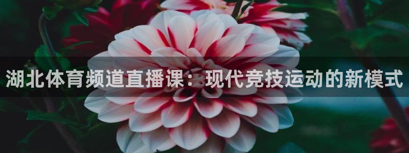 说球帝免费直播：湖北体育频道直播课：现代竞技运动的新模式