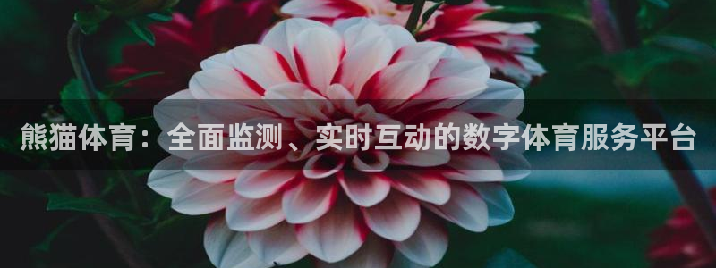 说球帝最新版免费直播：熊猫体育：全面监测、实时互动的数字体育服务平台