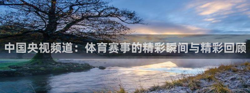 说球帝免费直播：中国央视频道：体育赛事的精彩瞬间与精彩回顾