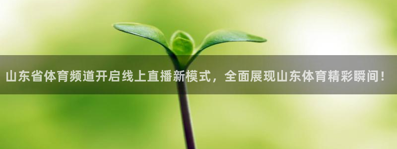 说球帝体育直播在线观看：山东省体育频道开启线上直播新模式，全面展现山东体育精彩瞬间！