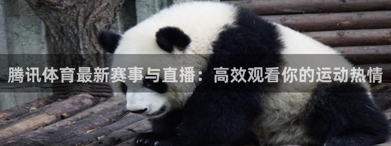 说球帝篮球直播：腾讯体育最新赛事与直播：高效观看你的运动热情