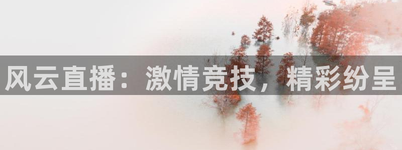 说球帝直播在线观看免费：风云直播：激情竞技，精彩纷呈